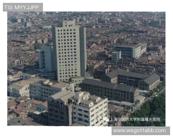 上海足球队在联合会杯中的崛起与挑战历程全景回顾